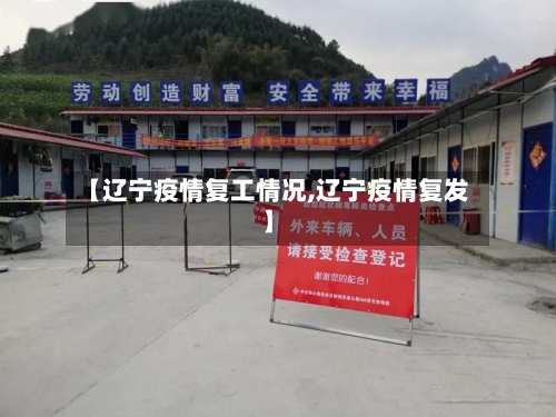 【辽宁疫情复工情况,辽宁疫情复发】
