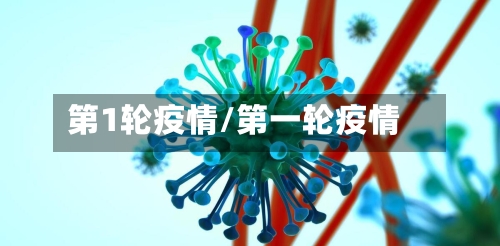 第1轮疫情/第一轮疫情-第2张图片
