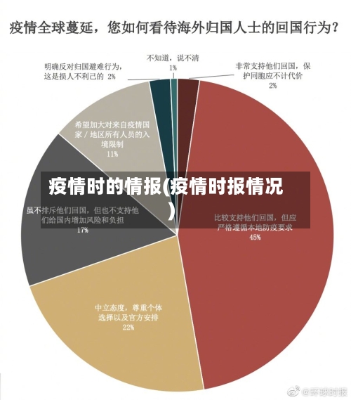 疫情时的情报(疫情时报情况)-第3张图片
