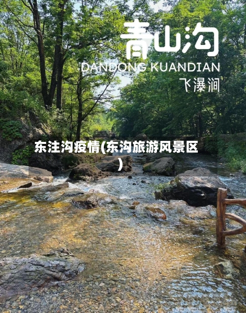 东注沟疫情(东沟旅游风景区)
