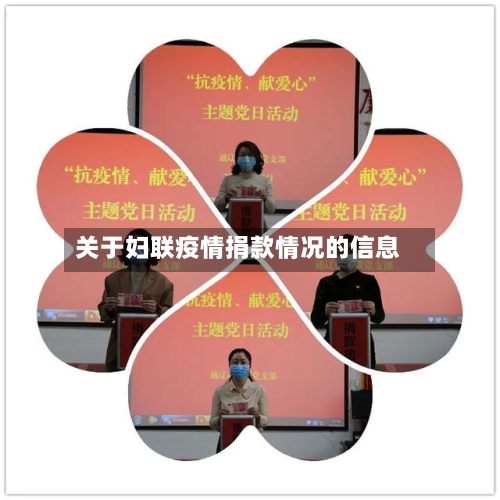 关于妇联疫情捐款情况的信息-第2张图片