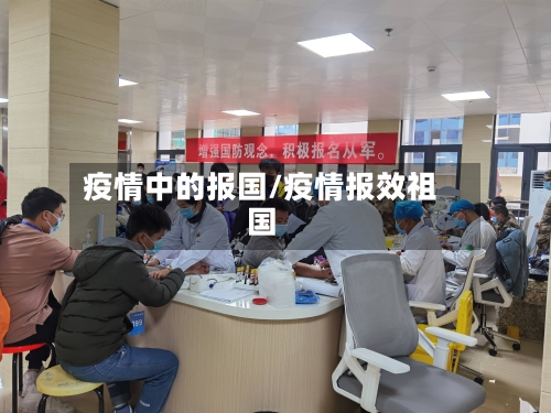疫情中的报国/疫情报效祖国