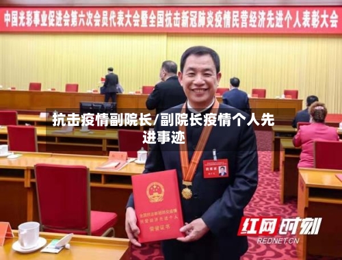 抗击疫情副院长/副院长疫情个人先进事迹