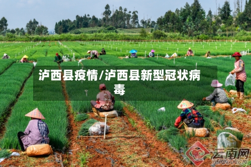 泸西县疫情/泸西县新型冠状病毒-第2张图片