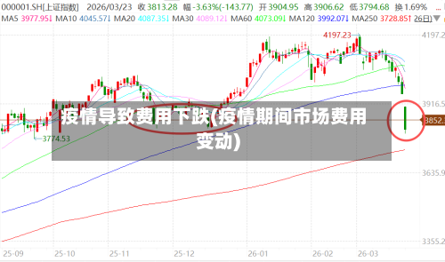 疫情导致费用下跌(疫情期间市场费用变动)