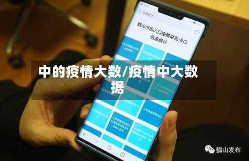 中的疫情大数/疫情中大数据