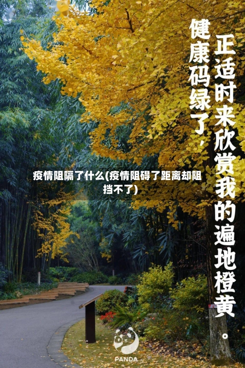 疫情阻隔了什么(疫情阻碍了距离却阻挡不了)