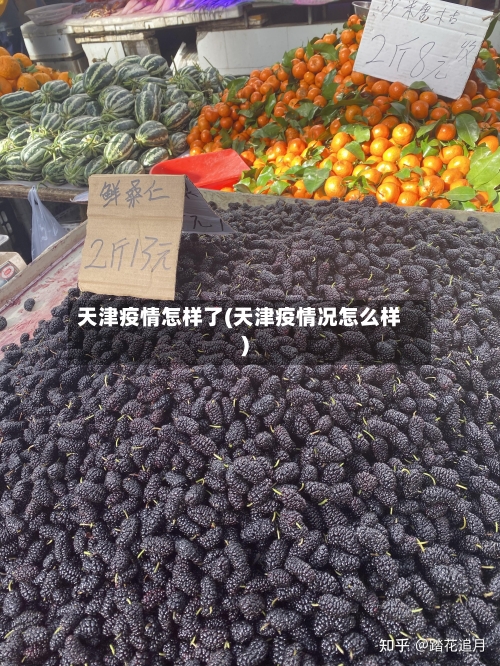 天津疫情怎样了(天津疫情况怎么样)-第2张图片