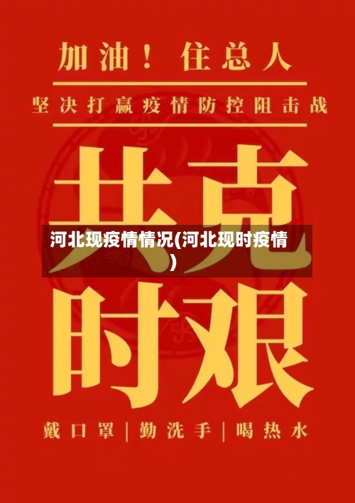 河北现疫情情况(河北现时疫情)