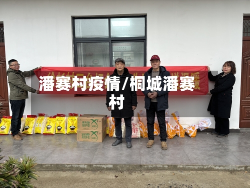 潘赛村疫情/桐城潘赛村