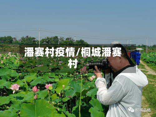 潘赛村疫情/桐城潘赛村-第2张图片