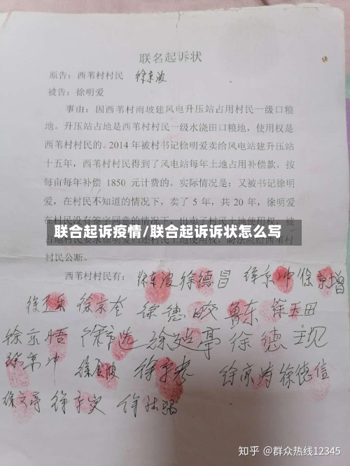 联合起诉疫情/联合起诉诉状怎么写-第2张图片