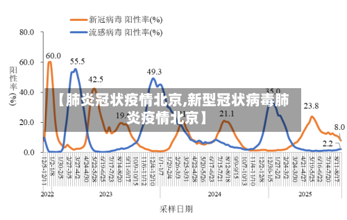 【肺炎冠状疫情北京,新型冠状病毒肺炎疫情北京】