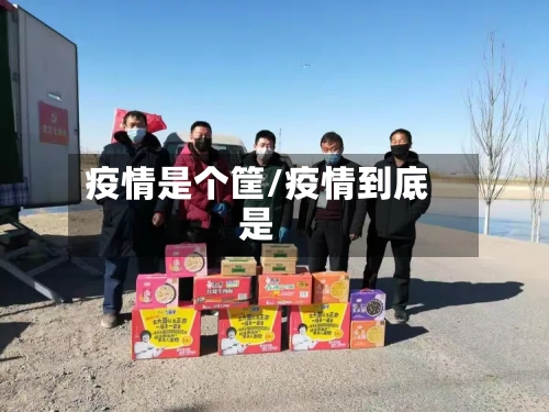 疫情是个筐/疫情到底是-第2张图片