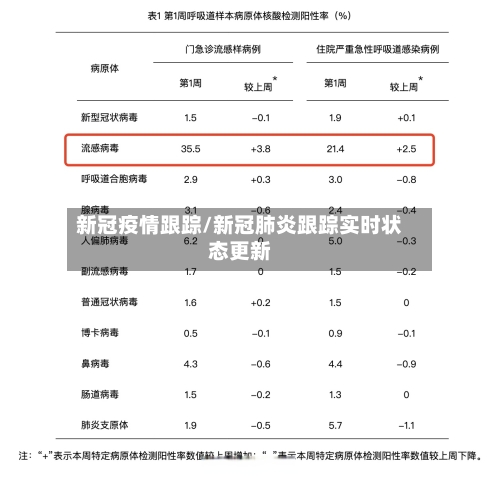 新冠疫情跟踪/新冠肺炎跟踪实时状态更新