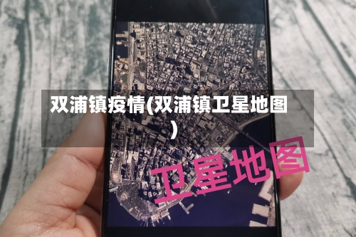 双浦镇疫情(双浦镇卫星地图)-第2张图片