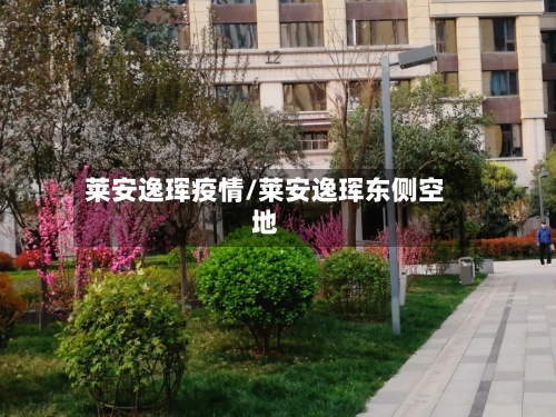莱安逸珲疫情/莱安逸珲东侧空地