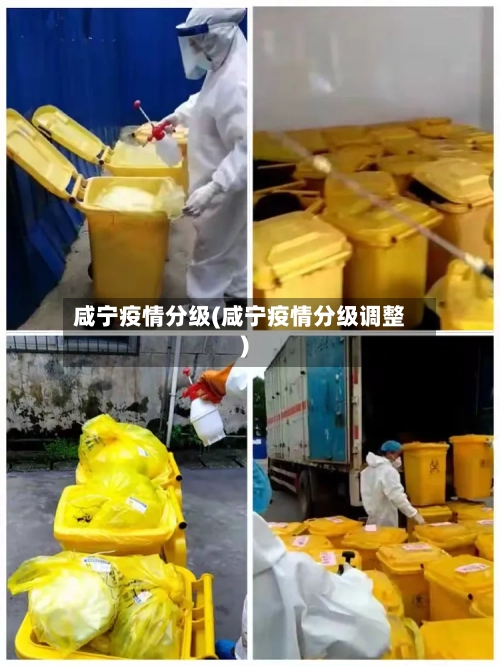 咸宁疫情分级(咸宁疫情分级调整)