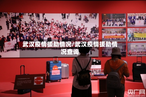 武汉疫情援助情况/武汉疫情援助情况查询
