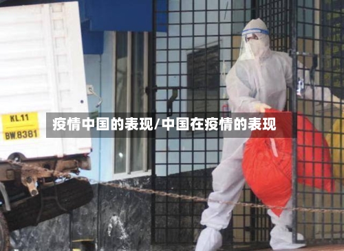疫情中国的表现/中国在疫情的表现