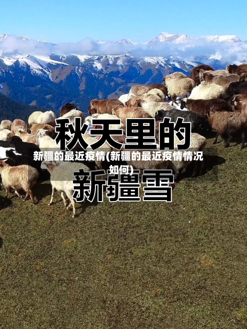 新疆的最近疫情(新疆的最近疫情情况如何)