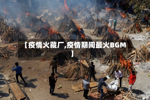 【疫情火藏厂,疫情期间最火BGM】-第2张图片