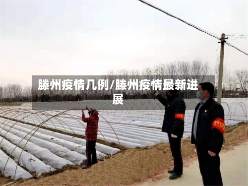 滕州疫情几例/滕州疫情最新进展-第2张图片