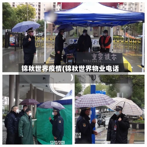 锦秋世界疫情(锦秋世界物业电话)