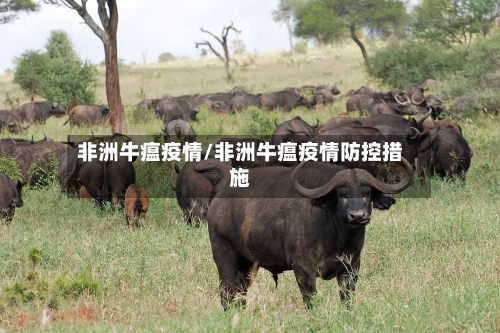 非洲牛瘟疫情/非洲牛瘟疫情防控措施
