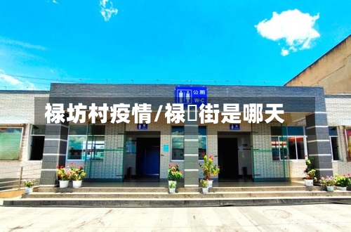 禄坊村疫情/禄脿街是哪天-第3张图片