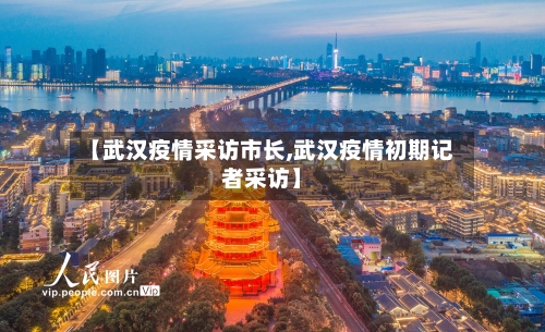 【武汉疫情采访市长,武汉疫情初期记者采访】-第2张图片