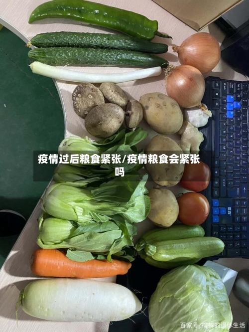 疫情过后粮食紧张/疫情粮食会紧张吗