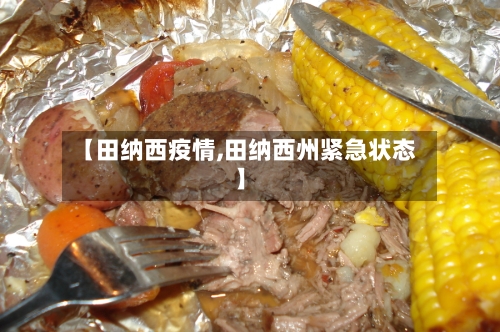 【田纳西疫情,田纳西州紧急状态】-第3张图片