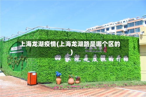 上海龙湖疫情(上海龙湖路是哪个区的)