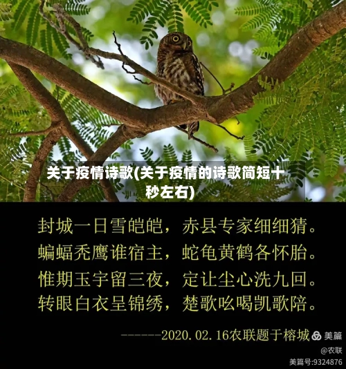 关于疫情诗歌(关于疫情的诗歌简短十秒左右)-第2张图片