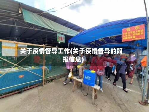 关于疫情督导工作(关于疫情督导的简报信息)-第2张图片