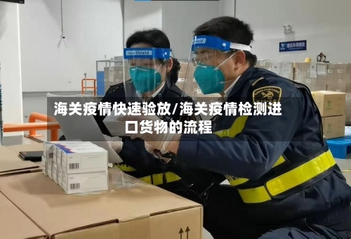海关疫情快速验放/海关疫情检测进口货物的流程