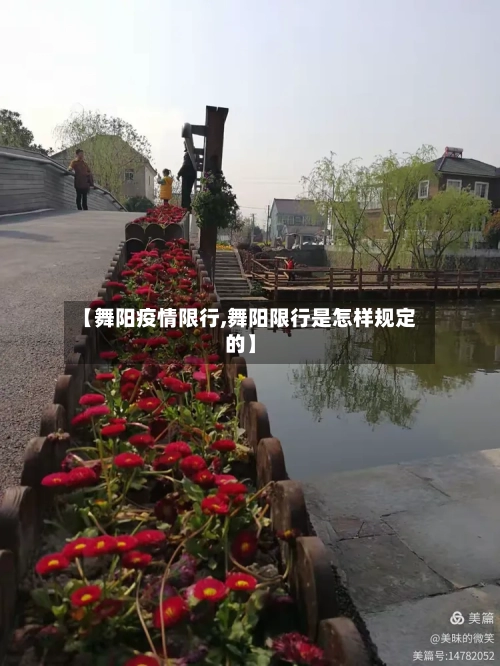 【舞阳疫情限行,舞阳限行是怎样规定的】-第3张图片