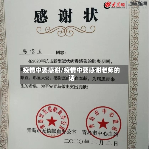 疫情中要感谢/疫情中要感谢老师的话-第3张图片