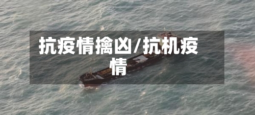 抗疫情擒凶/抗机疫情-第2张图片