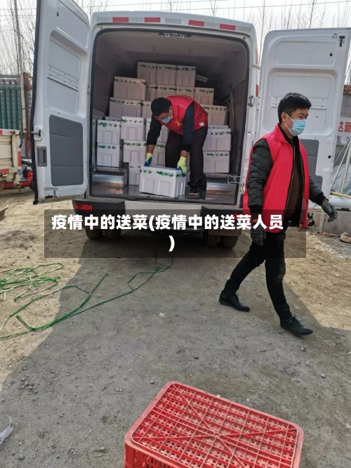 疫情中的送菜(疫情中的送菜人员)-第2张图片