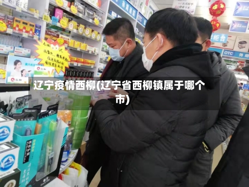 辽宁疫情西柳(辽宁省西柳镇属于哪个市)-第2张图片