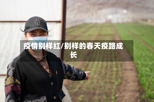疫情别样红/别样的春天疫路成长-第2张图片