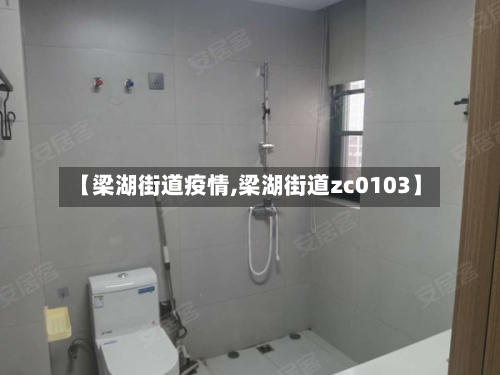 【梁湖街道疫情,梁湖街道zc0103】