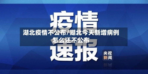 湖北疫情不公布/湖北今天新增病例怎么还不公布-第2张图片
