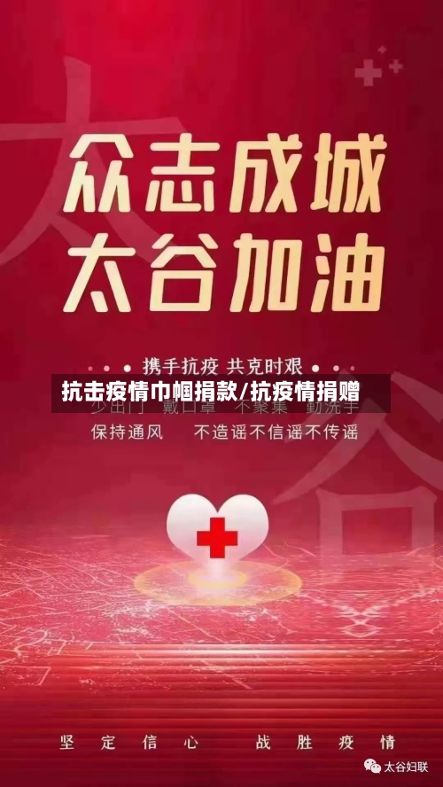 抗击疫情巾帼捐款/抗疫情捐赠