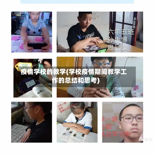 疫情学校的教学(学校疫情期间教学工作的总结和思考)