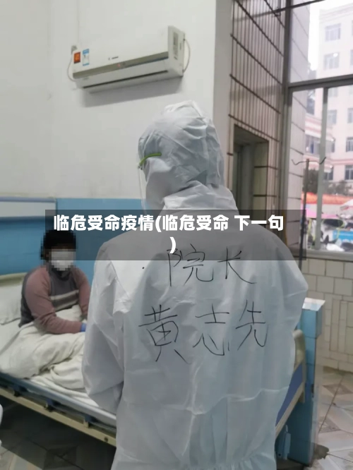 临危受命疫情(临危受命 下一句)-第2张图片
