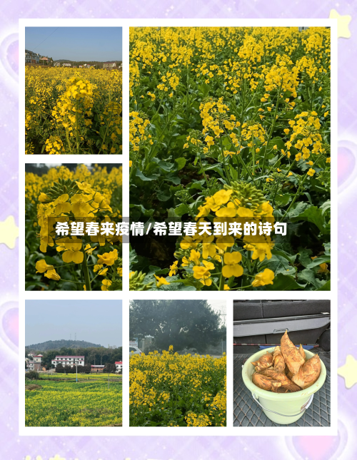 希望春来疫情/希望春天到来的诗句-第3张图片