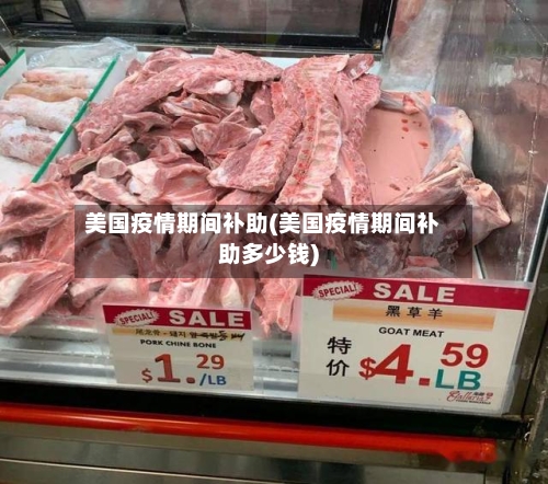 美国疫情期间补助(美国疫情期间补助多少钱)